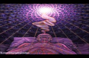 Terewnce MCkenna (Rimshots) 015 – Die With Understanding