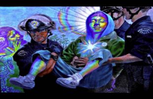 Terence MCkenna (Rimshots) #012 – The Core Element is Freedom