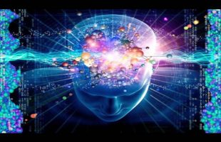 Terence Mckenna (Rimshots) 009 – Catalysts For Thought