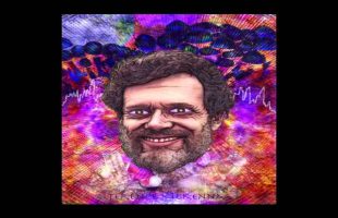 Terence Mckenna (Rimshots) #008 – Call Me Dorthy