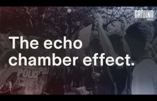 The Echo Chamber Effect