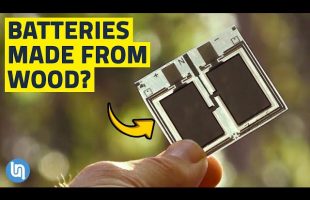 Growing Batteries – Wood Battery Explained