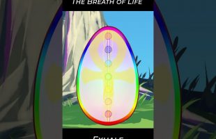 A Quick Breath of Life 🌬️