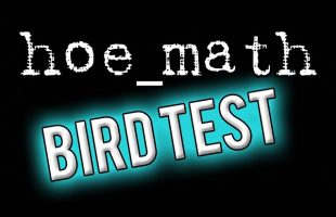 Bird Test