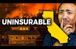 Insurance Companies QUIT Housing Market