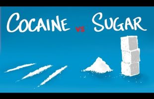 Cocaine vs Sugar