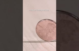 Alan Watts – Implicitly One