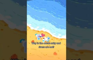 Why Is the Ocean Salty and Rivers Are Not?