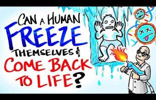 Can A Human Be Frozen & Brought Back To Life? – Cryonics