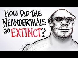 How Did The Neanderthals Go Extinct?