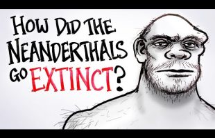 How Did The Neanderthals Go Extinct?