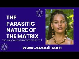 ZaZa Ali: The Parasitic Nature of the Matrix
