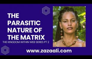 ZaZa Ali: The Parasitic Nature of the Matrix