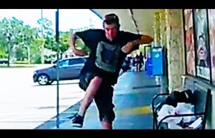 Man Challenges Cop to Karate Fight, Instantly Regrets It