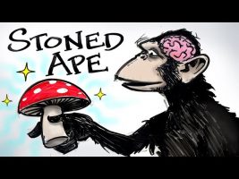 Stoned Ape & Fungal Intelligence – Paul Stamets