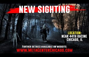 UFO Sighting in Chicago – Scout Ship – Enki Surveillance Operations?