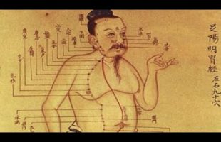 Acupuncture and the Meridian System