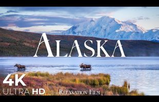 Alaska 4K • Touched Beauty | Original Healing Piano for Nervous System | Relaxation Film
