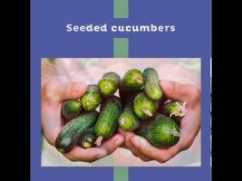 Summer’s Seasonal Fruits and Vegetables