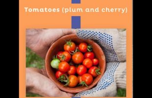 Foods That Protect Your Skin