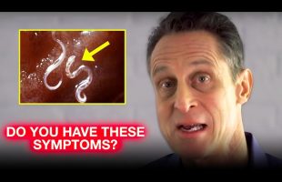 “This Relates to Almost All Diseases”| Dr. Mark Hyman