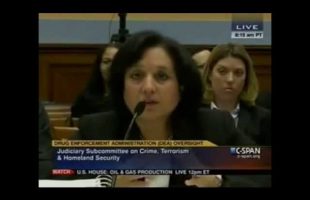 DEA Makes Compelling Case They are Clueless during Congressional Hearings (Compilation)