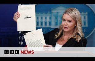 Donald Trump delays higher tariffs but announces new taxes for some countries | BBC News