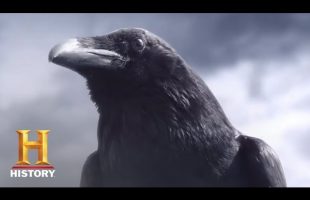 Vikings: Crow Teaser | Season 5 Premieres Nov. 29 | History