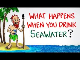 What Happens When You Drink SeaWater?