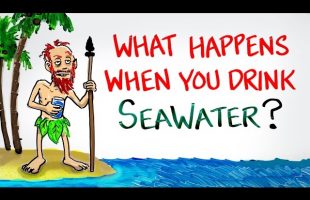 What Happens When You Drink SeaWater?