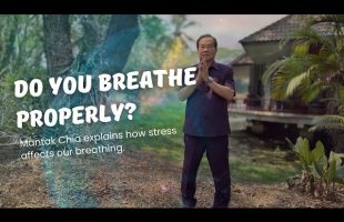 Do you breathe properly? Mantak Chia explains how stress affects our breathing.