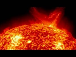 Life and Purpose – Terence Mckenna
