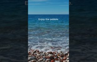 Alan Watts – Pebble on the Beach – from Man in Nature