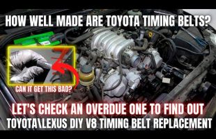 How Well Made are Toyota Timing Belts? Let’s Check an OVERDUE One! | DIY V8 Timing Belt