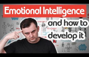 Emotional Intelligence – Understanding EQ with Daniel Goleman – Animated Book Review