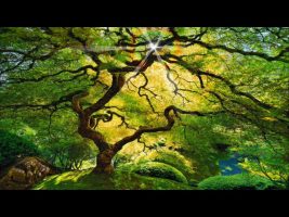 Tranquil Guided Meditation for Spiritual Awakening (7 min)