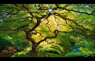 Tranquil Guided Meditation for Spiritual Awakening (7 min)