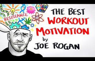 The Best Workout Motivation Ever – Joe Rogan