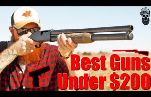 If I Only Have $200 What Gun Should I Get? Best Guns Under $200