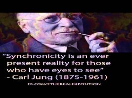 Synchronicity (Terence Mckenna)