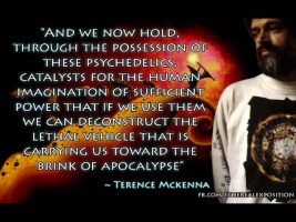 To Boil Our Predicament Down to a Sentence/Slogan (Terence Mckenna)