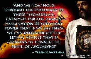 To Boil Our Predicament Down to a Sentence/Slogan (Terence Mckenna)
