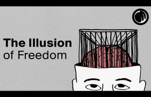 The Illusion of Freedom – Are You Really Free To Do What You Want?