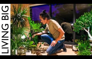 A Tiny House Like A Zen Forest