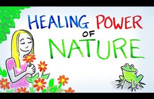 The Healing Power of Nature!