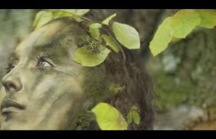 Reincarnation and Past Lives