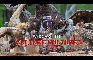 Professor Griff on WHO are the “Culture Vultures”?