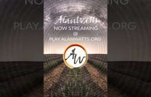 Alan Watts | PLAY | New & Official Alan Watts App | What Is Reality (excerpt)