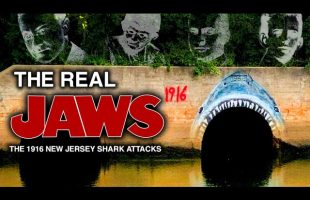 The BRUTAL True Story Behind “JAWS” | 1916 New Jersey Shark Attacks | Visiting Locations