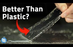 Why Seaweed Could Be The Future Of Plastic